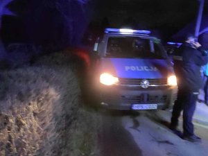 Przy jednej z dróg stoi radiowóz. Obok znajduje się policjant rozmawiający przez telefon.
