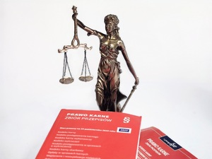 kodeks karny i temida