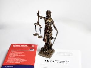 temida i kodeks karny