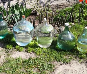 butelki szklane typu beczka wypełnione przezroczystą cieczą