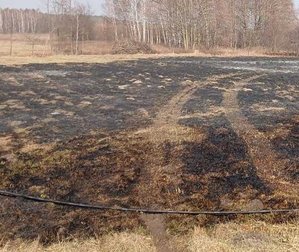 miejsce łąki po pożarze