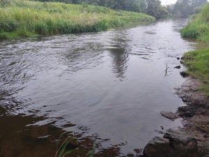 policjanci monitorują stan wody w rzece