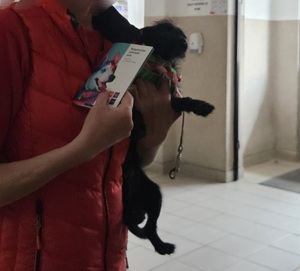 kobieta trzyma na ręce pieska w drugiej ręce trzyma książeczkę zdrowia psa