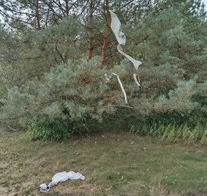 Balon i jego szczątki