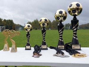 na zdjęciu są ustawione puchary i medale - nagrody za udział w turnieju.