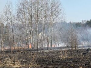 na zdjęciu widoczny jest policjant gaszący płonącą trawę
