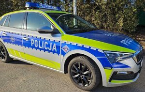 Na zdjęciu oznakowany radiowóz policyjny. Pojazd jest ustawiony bokiem. W tle drzewa i krzewy.