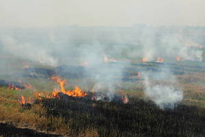 Palące się użytki.