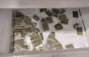 Susz w woreczkach strunowych