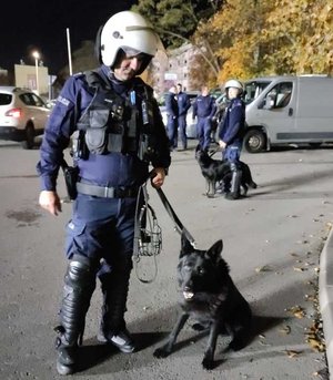 Zabezpieczenie meczu