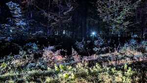 Poszukiwania zaginionego.