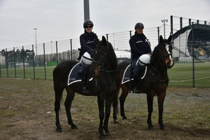 Policjanci podczas zabezpieczenia meczu