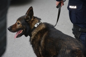 Policjanci podczas zabezpieczenia meczu