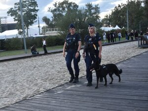 Policjanci podczas zabezpieczenia festiwalu