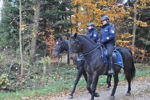 Patrol konny Policji