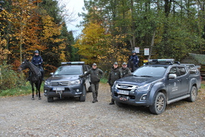 Patrol konny Policji wraz z funkcjonariuszami Straży Leśnej.