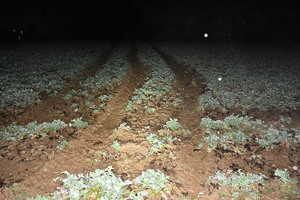 Zniszczenia spowodowane przez pojazd.