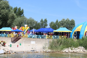 Część przybrzeżna Jeziora Tarnobrzeskiego