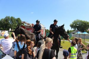 Wielka impreza nad Jeziorem Tarnobrzeskim - "Kręci mnie bezpieczeństwo w lecie"