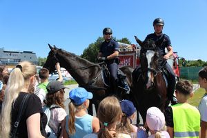 Wielka impreza nad Jeziorem Tarnobrzeskim - "Kręci mnie bezpieczeństwo w lecie"