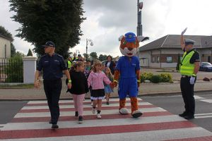 W początkowym okresie nauki dzieci i młodzieży, tarnobrzescy policjanci prowadzą działania pn. „Bezpieczna droga do szkoły”. Funkcjonariusze odwiedzają szkoły i przedszkola, aby uczyć najmłodszych prawidłowych nawyków komunikacyjnych oraz uświadamiać o potencjalnych zagrożeniach, jakie mogą ich spotkać podczas drogi do i ze szkoły.  
 Mundurowi  uczą pierwszoklasistów prawidłowego przekraczania jezdni, poruszania się po niej w przypadku braku chodnika lub pobocza, zachowania w miejscach oczekiwania na przyjazd autobusów. 
Dzisiaj mundurowi odwiedzili uczniów z Zespołu Szkół im. gen.W. Sikorskiego w Woli Baranowskiej oraz z pierwszoklasistów z Zespołu Szkół i Placówek w Baranowie Sandomierskim.
 Funkcjonariusze z Zespołu ds. Profilaktyki Społecznej, Nieletnich i Patologii Komendy Miejskiej Policji w Tarnobrzegu asp.szt. Rafał Szymański i st. sierż. Ewelina Rzeszut, poprowadzili zajęcie teoretyczne, podczas których przekazywali dzieciom wiedzę dotyczącą prawidłowego korzystania z dróg. 
Szkole spotkania z policjantem są dla dzieci zawsze dużą atrakcją, co zachęca je do poznawania zasad ruchu drogowego. Nie do przecenienia jest wiedza funkcjonariuszy ruchu drogowego. Asp. Eligiusz Skuza z Wydziału Ruchu Drogowego z Komendy Miejskiej Policji w Tarnobrzegu uczył dzieci właściwego zachowania się na przejściach dla pieszych, wskazał im też najbardziej niebezpieczne miejsca w rejonie szkoły. Policjant drogówki zaprezentował ręczne kierowanie ruchem na drodze co dla pierwszoklasistów było nie lada atrakcją i z pewnością niezapomnianą lekcją.
Przedstawiciele Wojewódzkiego Ośrodka Ruchu Drogowego propagowali wśród uczniów noszenie elementów odblaskowych. Przekazali dla każdego ucznia opaski odblaskowe, plany lekcji i materiały edukacyjne.

 
Przypominamy - zgodnie z art. 43 Ustawy prawo o ruchu drogowym, dziecko do 7 roku życia może korzystać z drogi tylko pod opieką osoby co najmniej 10-letniej (nie dotyczy to strefy zamieszkania i drogi przeznaczonej wyłącznie dla pieszych). Rodzice, którzy zawożą dzieci do szkoły powinni pamiętać o obowiązku przewożenia ich w fotelikach ochronnych lub specjalnych siedziskach. Dziecko pod szkołą należy wysadzać z samochodu od strony chodnika lub pobocza, nie zaś od strony jezdni.