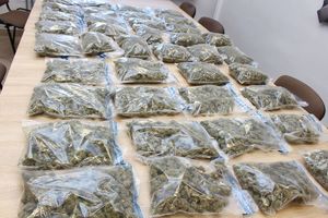 Ta zakrojona na szeroką skalę realizacja, przy której zaangażowani byli policjanci z Tarnobrzega oraz funkcjonariusze z Komendy Stołecznej Policji, Komendy Powiatowej Policji w Otwocku, Komendy Powiatowej Policji w Mińsku Mazowieckim i Komendy Rejonowej Policji  Warszawa VII – była wymierzona w przestępczość narkotykową.

Pod koniec października br. kryminalni, zabezpieczyli ponad 21 kilogramów środków odurzających w postaci suszu marihuany o wartości czarnorynkowej około 1 mln złotych oraz  haszyszu. W tej sprawie zatrzymali dwóch mężczyzn w wieku 19 i 27-lat. 
Obaj zostali przesłuchani i usłyszeli prokuratorskie zarzuty - usiłowania wprowadzenia do obrotu znacznej ilości środków odurzających w postaci ziela konopi innych niż włókniste. 
Na wniosek Prokuratury Rejonowej w Tarnobrzegu, decyzją sądu obaj zostali tymczasowo aresztowani na okres 3 miesięcy. 

Zgodnie z przepisami ustawy o przeciwdziałaniu narkomanii, za usiłowanie wprowadzenia do obrotu znacznych ilości środków odurzających, grozi kara pozbawienia wolności od 2  do 12 lat.