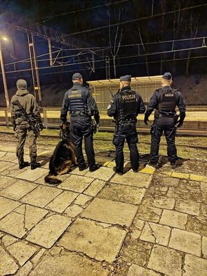 W związku z aktami dywersji o charakterze terrorystycznym, do których doszło na terenie infrastruktury kolejowej na odcinku Warszawa–Lublin, Policja w całej Polsce zintensyfikowała działania ukierunkowane na zapewnienie bezpieczeństwa podróżnym oraz ochronę kluczowych obiektów kolejowych. W realizację zadań wynikających z założeń operacji zaangażowani są także policjanci z Komendy Miejskiej Policji w Tarnobrzegu.