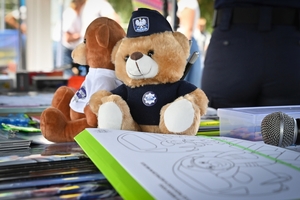 Policjanci podczas inauguracji kampanii „Kręci mnie bezpieczeństwo w lecie” nad Jeziorem Tarnobrzeskim.