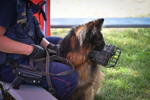Policjanci podczas inauguracji kampanii „Kręci mnie bezpieczeństwo w lecie” nad Jeziorem Tarnobrzeskim.