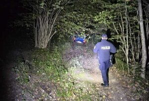 policjant, auto, las